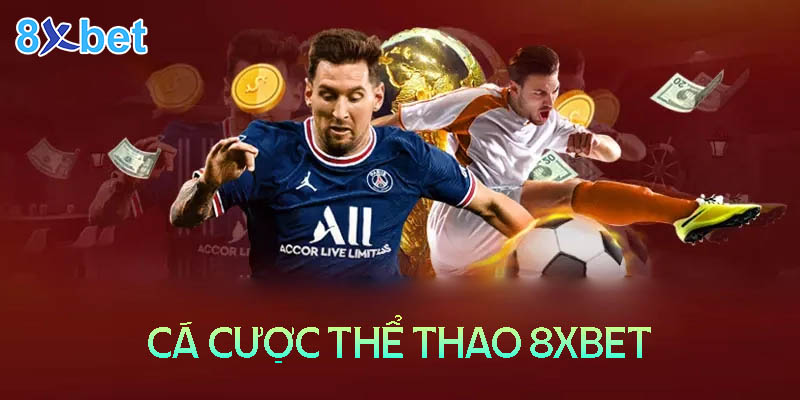 8Xbet Cx -Trải nghiệm thể thao đẳng cấp số 1 Châu Á 4 8Xbet Cx -Trải nghiệm thể thao đẳng cấp số 1 Châu Á
