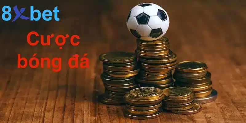 Cược bóng đá - Thể loại cá cược phổ biến nhất trên thế giới 8 Cược bóng đá - Thể loại cá cược phổ biến nhất trên thế giới