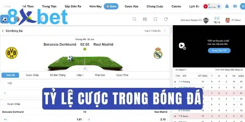 Tỷ lệ cược bóng đá là gì? Tìm hiểu chi tiết về tỷ lệ kèo cược 1 Tìm hiểu thuật ngữ tỷ lệ cược bóng đá là gì