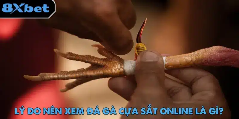 Đá Gà Cựa Sắt – Màn Giải Trí Gay Cấn Không Thể Bỏ Lỡ 37 8xbet bảo trải nghiệm xem đá gà cựa sắt và đặt cược không gián đoạn