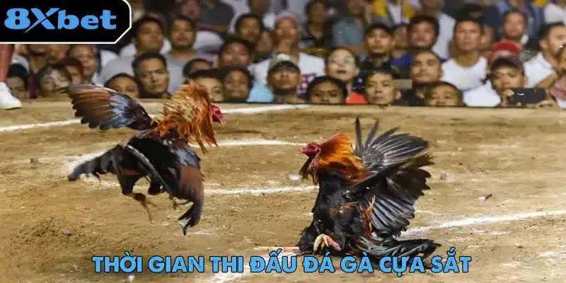 Đá Gà Cựa Sắt – Màn Giải Trí Gay Cấn Không Thể Bỏ Lỡ 38 Không có quy định về số hiệp hay thời lượng cho mỗi trận đấu đá gà cựa sắt